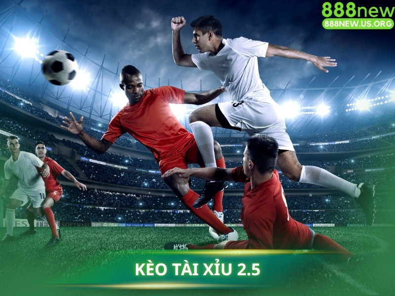 Kèo 2.5 là mốc kèo Tài Xỉu phổ biến nhất, phân định rõ ràng thắng thua.